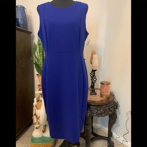 Royal blue Calvin Klein stunner!